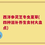 西洋参灵芝冬虫夏草(四种滋补养生食材大盘点)