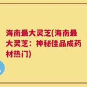 海南最大灵芝(海南最大灵芝：神秘佳品成药材热门)