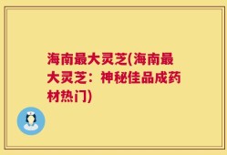 海南最大灵芝(海南最大灵芝：神秘佳品成药材热门)
