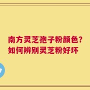 南方灵芝孢子粉颜色？如何辨别灵芝粉好坏