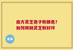 南方灵芝孢子粉颜色？如何辨别灵芝粉好坏