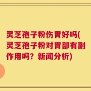 灵芝孢子粉伤胃好吗(灵芝孢子粉对胃部有副作用吗？新闻分析)