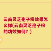 云南灵芝孢子粉效果怎么样(云南灵芝孢子粉的功效如何？)