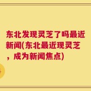 东北发现灵芝了吗最近新闻(东北最近现灵芝，成为新闻焦点)