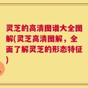 灵芝的高清图谱大全图解(灵芝高清图解，全面了解灵芝的形态特征)