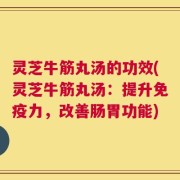 灵芝牛筋丸汤的功效(灵芝牛筋丸汤：提升免疫力，改善肠胃功能)