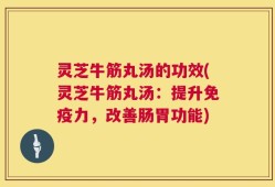 灵芝牛筋丸汤的功效(灵芝牛筋丸汤：提升免疫力，改善肠胃功能)