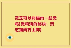 灵芝可以和猫肉一起煲吗(煲鸡汤的秘诀：灵芝猫肉齐上阵)