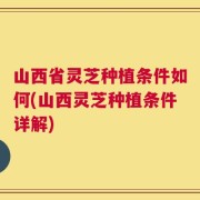山西省灵芝种植条件如何(山西灵芝种植条件详解)