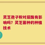 灵芝孢子粉对尿酸有影响吗？灵芝菌种的种植技术
