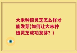 大米种植灵芝怎么样才能发芽(如何让大米种植灵芝成功发芽？)