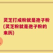 灵芝打成粉就是孢子粉(灵芝粉就是孢子粉的来历)