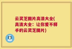 云灵芝图片高清大全(高清大全：让你爱不释手的云灵芝图片)