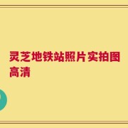 灵芝地铁站照片实拍图高清