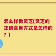 怎么样做灵芝(灵芝的正确食用方式是怎样的？)
