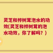 灵芝和桦树茸泡水的功效(灵芝和桦树茸的泡水功效，你了解吗？)