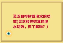 灵芝和桦树茸泡水的功效(灵芝和桦树茸的泡水功效，你了解吗？)