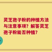 灵芝孢子粉的种植方法与注意事项？解答灵芝孢子粉能否种植？