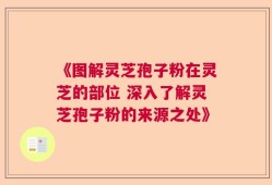 《图解灵芝孢子粉在灵芝的部位 深入了解灵芝孢子粉的来源之处》