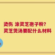 烫伤 涂灵芝孢子粉？灵芝煲汤要配什么材料