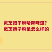 灵芝孢子粉哈辣味道？灵芝孢子粉是怎么样的