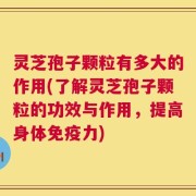 灵芝孢子颗粒有多大的作用(了解灵芝孢子颗粒的功效与作用，提高身体免疫力)