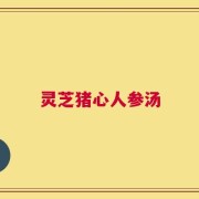 灵芝猪心人参汤