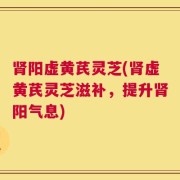 肾阳虚黄芪灵芝(肾虚黄芪灵芝滋补，提升肾阳气息)