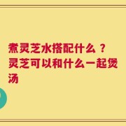 煮灵芝水搭配什么 ？灵芝可以和什么一起煲汤