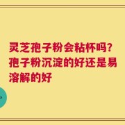 灵芝孢子粉会粘杯吗？孢子粉沉淀的好还是易溶解的好