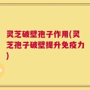 灵芝破壁孢子作用(灵芝孢子破壁提升免疫力)