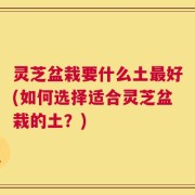灵芝盆栽要什么土最好(如何选择适合灵芝盆栽的土？)