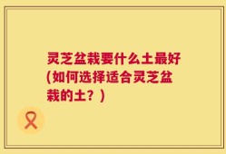灵芝盆栽要什么土最好(如何选择适合灵芝盆栽的土？)