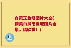 白灵芝鱼塘图片大全(精美白灵芝鱼塘图片全集，请欣赏！)