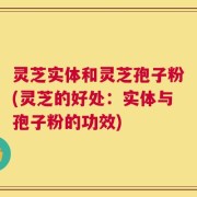 灵芝实体和灵芝孢子粉(灵芝的好处：实体与孢子粉的功效)