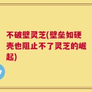 不破壁灵芝(壁垒如硬壳也阻止不了灵芝的崛起)