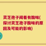 灵芝孢子闻着有酸味(探讨灵芝孢子酸味的原因及可能的影响)