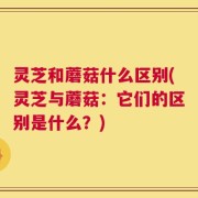 灵芝和蘑菇什么区别(灵芝与蘑菇：它们的区别是什么？)