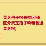 灵芝孢子粉去壁区别(区分灵芝孢子粉和普通灵芝粉)