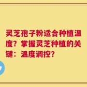 灵芝孢子粉适合种植温度？掌握灵芝种植的关键：温度调控？