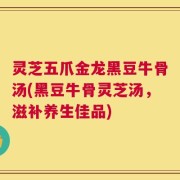 灵芝五爪金龙黑豆牛骨汤(黑豆牛骨灵芝汤，滋补养生佳品)