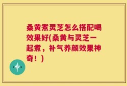 桑黄煮灵芝怎么搭配喝效果好(桑黄与灵芝一起煮，补气养颜效果神奇！)