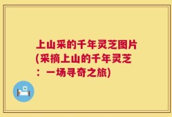 上山采的千年灵芝图片(采摘上山的千年灵芝：一场寻奇之旅)