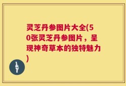 灵芝丹参图片大全(50张灵芝丹参图片，呈现神奇草本的独特魅力)