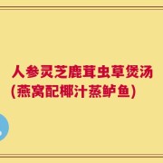 人参灵芝鹿茸虫草煲汤(燕窝配椰汁蒸鲈鱼)
