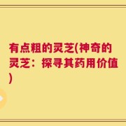 有点粗的灵芝(神奇的灵芝：探寻其药用价值)