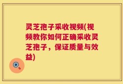 灵芝孢子采收视频(视频教你如何正确采收灵芝孢子，保证质量与效益)