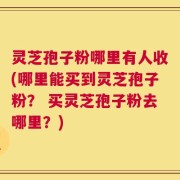 灵芝孢子粉哪里有人收(哪里能买到灵芝孢子粉？ 买灵芝孢子粉去哪里？)