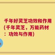 千年好灵芝功效和作用(千年灵芝，万能药材：功效与作用)