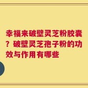 幸福来破壁灵芝粉胶囊？破壁灵芝孢子粉的功效与作用有哪些